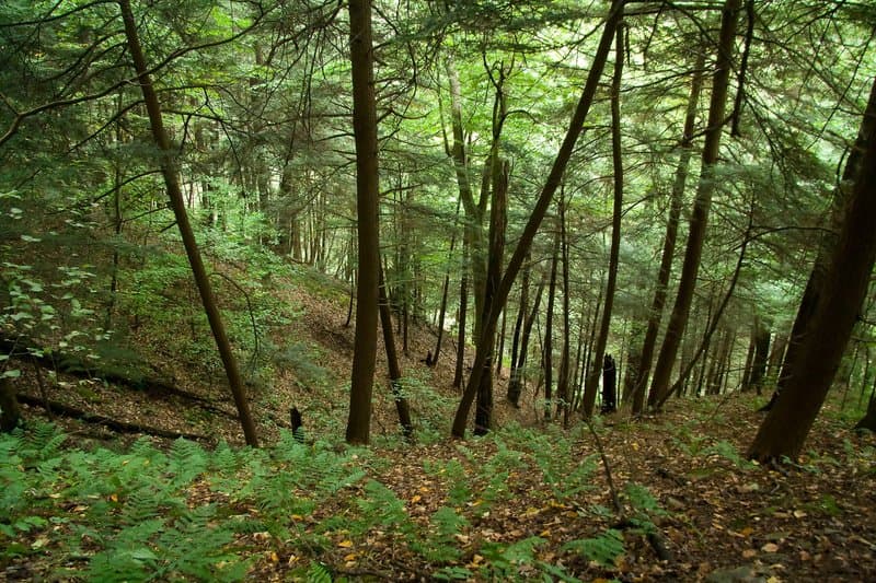 Oil Creek State Park