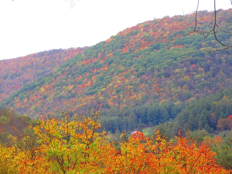 Ole Bull State Park hero image