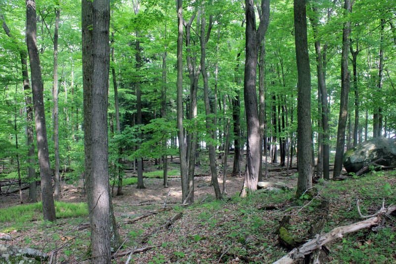 Promised Land State Park