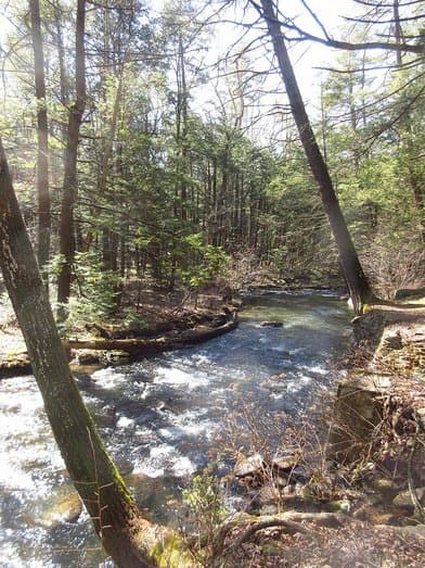 Reeds Gap State Park - Image 1