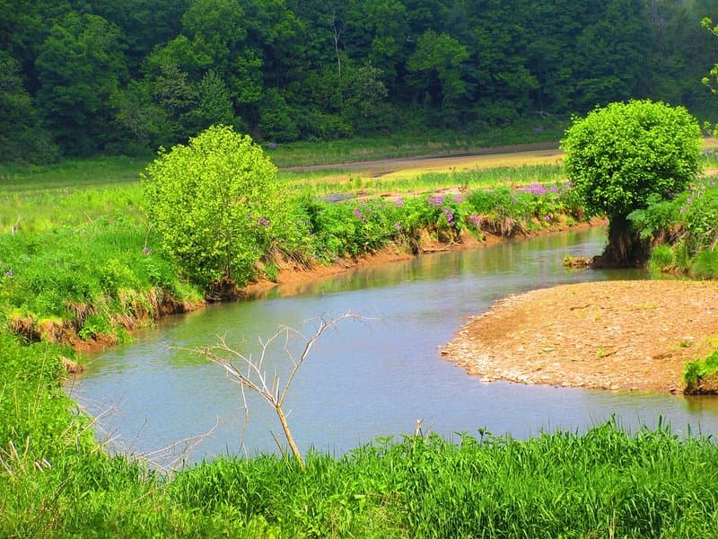 Ryerson Station State Park