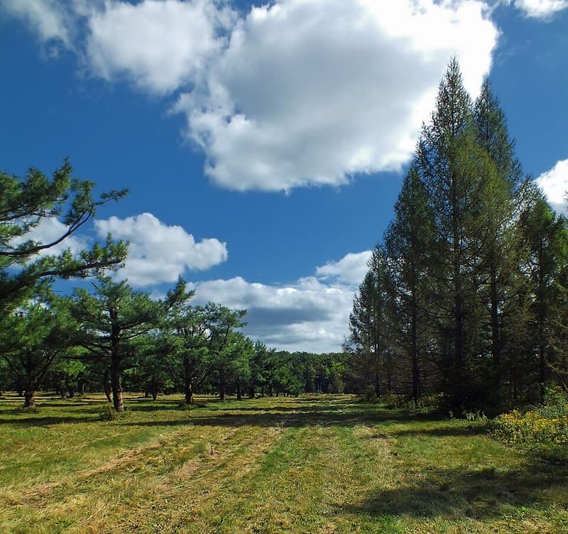 S.B. Elliott State Park