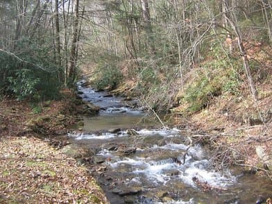 Upper Pine Bottom State Park - Image 1